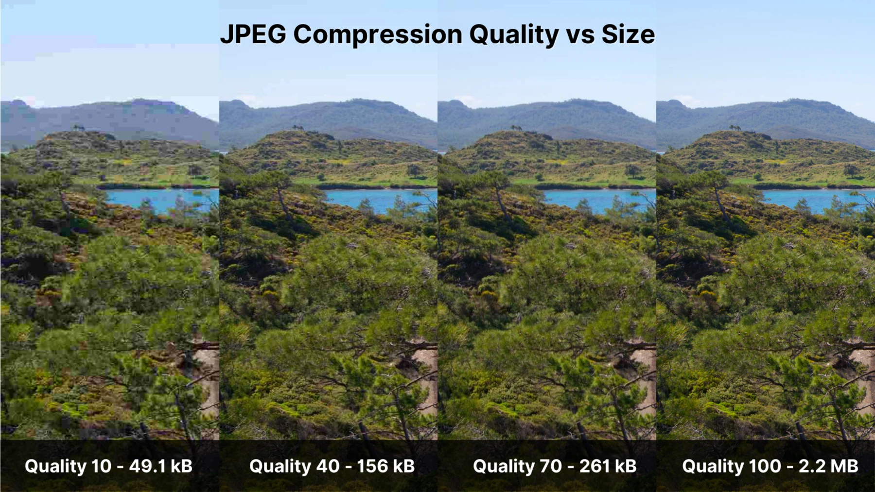 Comparison showing how image quality degrades as JPEG compression increases and file size drops